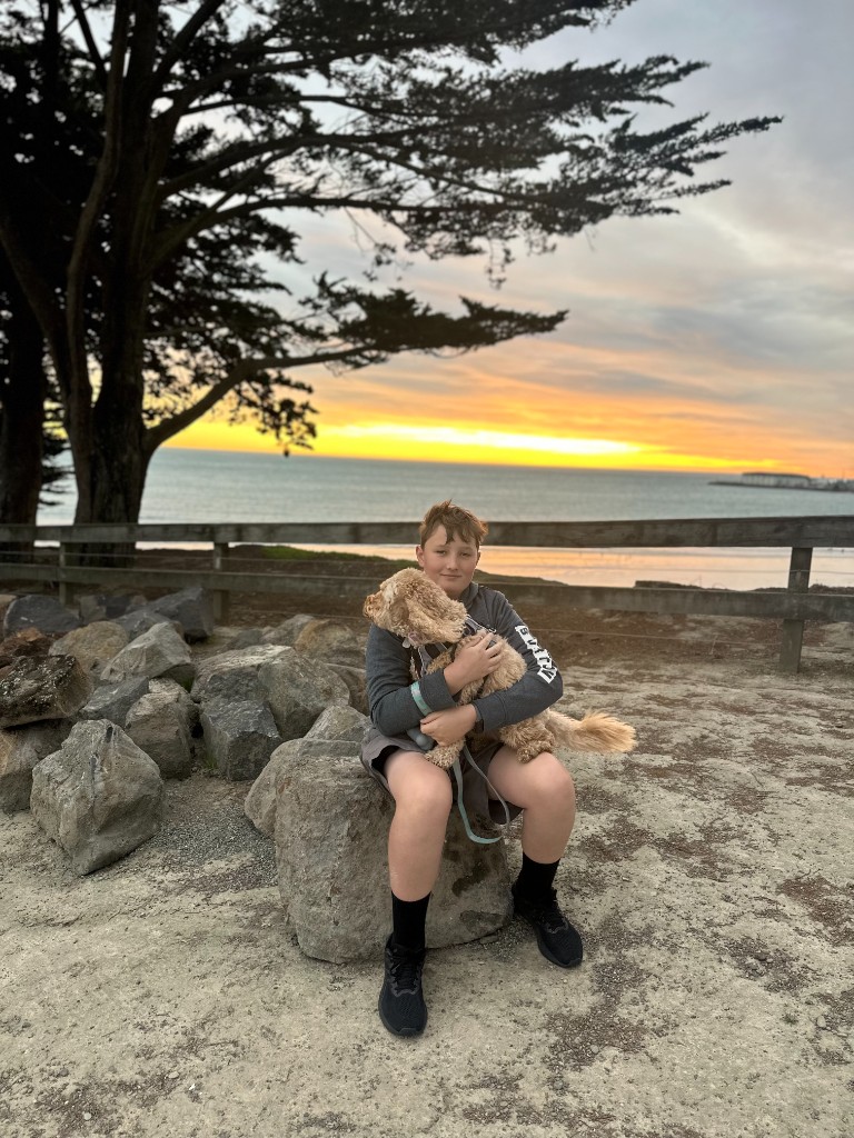Baxter sitting with a dog at sunset.
