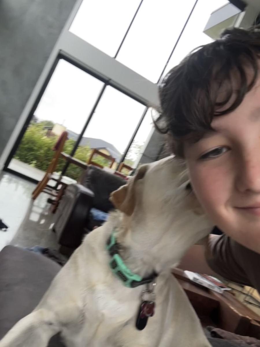 Baxter with a dog indoors.